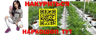 СК Гатчина
