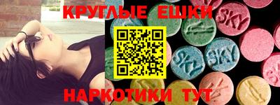 СК Гатчина